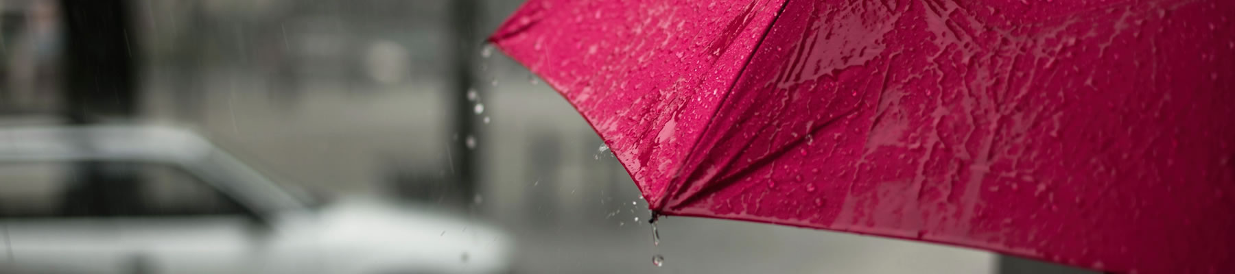Asset Protection | Umbrella Insurance | New Orleans, Louisiana